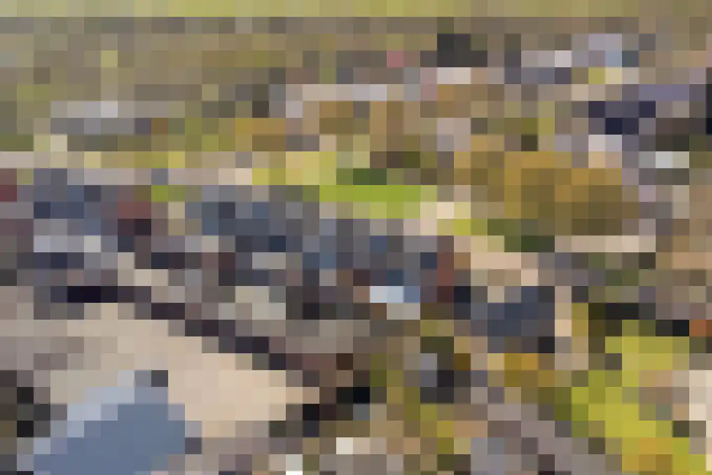 Dokter G.H. Beensweg 76 Wierden thumbnail 47