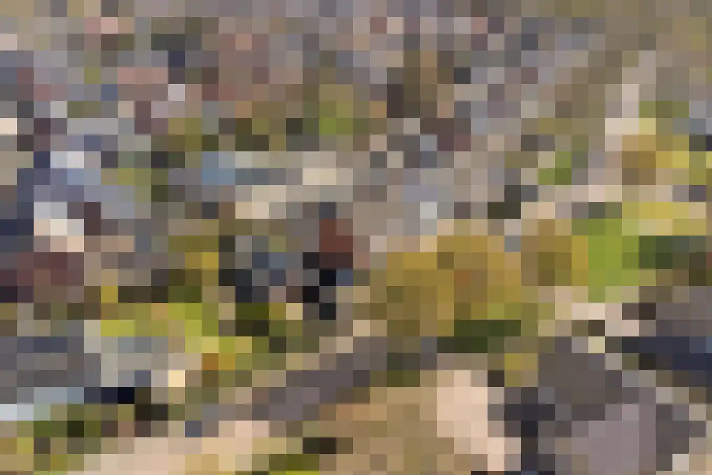 Dokter G.H. Beensweg 76 Wierden thumbnail 48