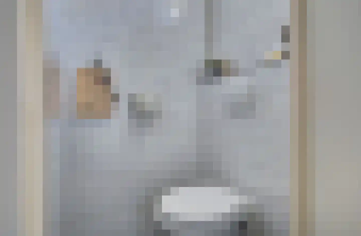 Dokter G.H. Beensweg 76 Wierden thumbnail 9