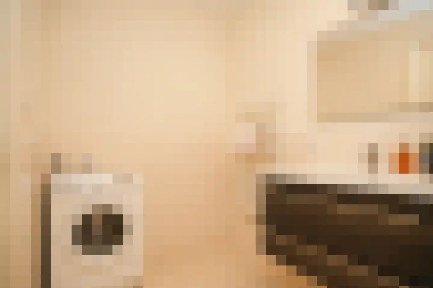 Dokter G van Empelstraat 5 Opheusden thumbnail 26