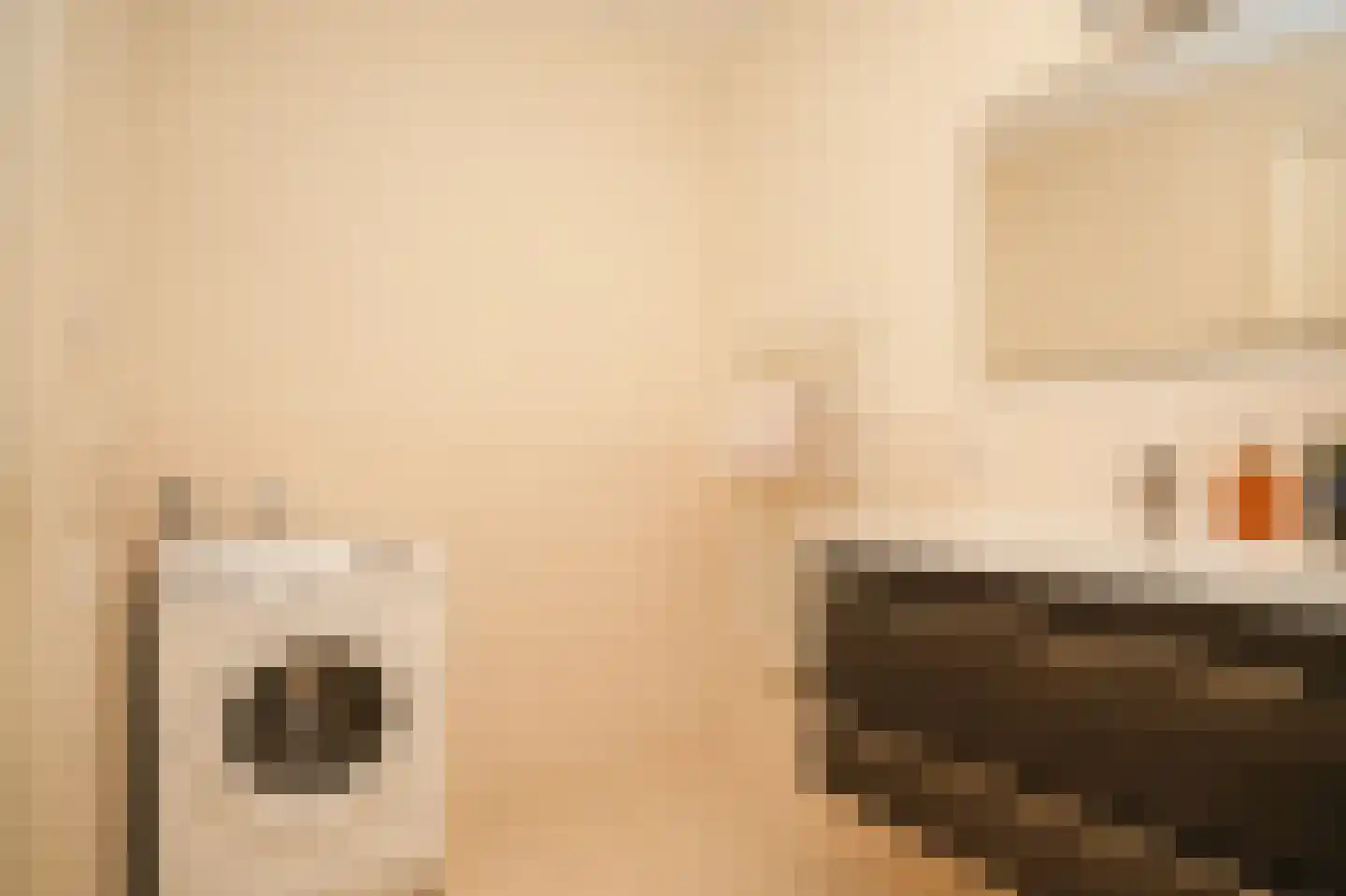 Dokter G van Empelstraat 5 Opheusden thumbnail 27