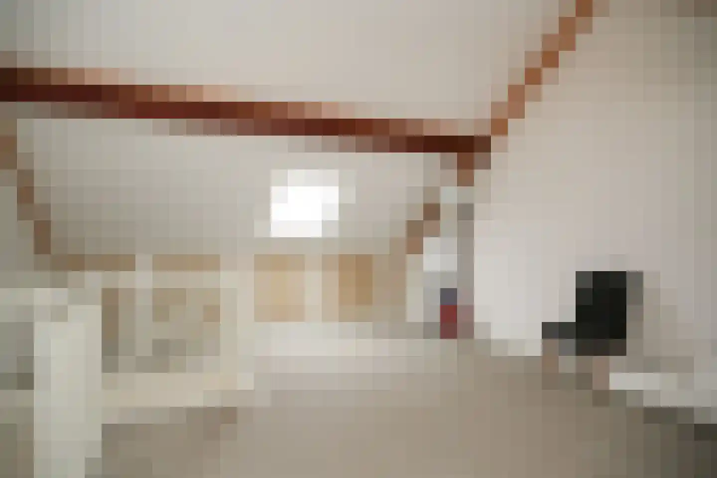Dokter G van Empelstraat 5 Opheusden thumbnail 33