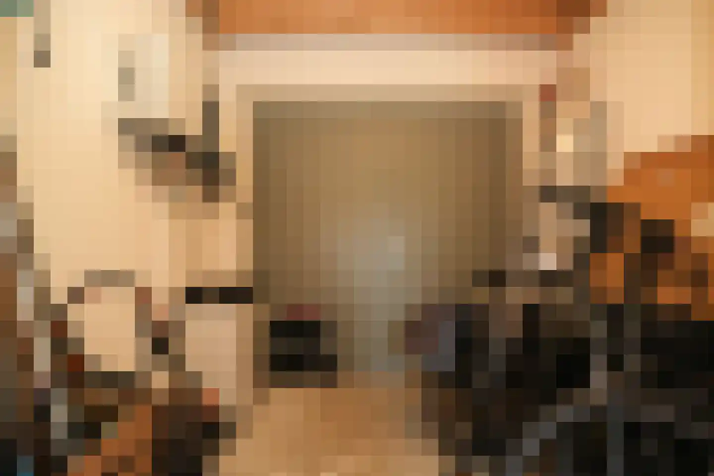 Dokter G van Empelstraat 5 Opheusden thumbnail 35