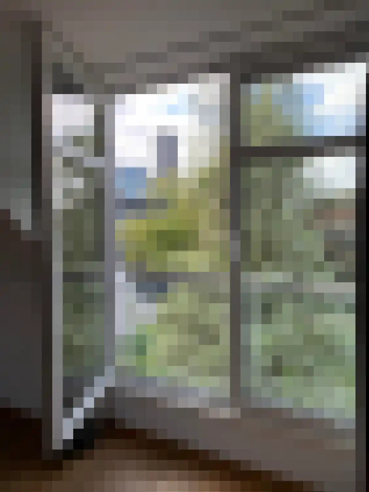 Dokter Gallandatstraat 18 Vlissingen thumbnail 4