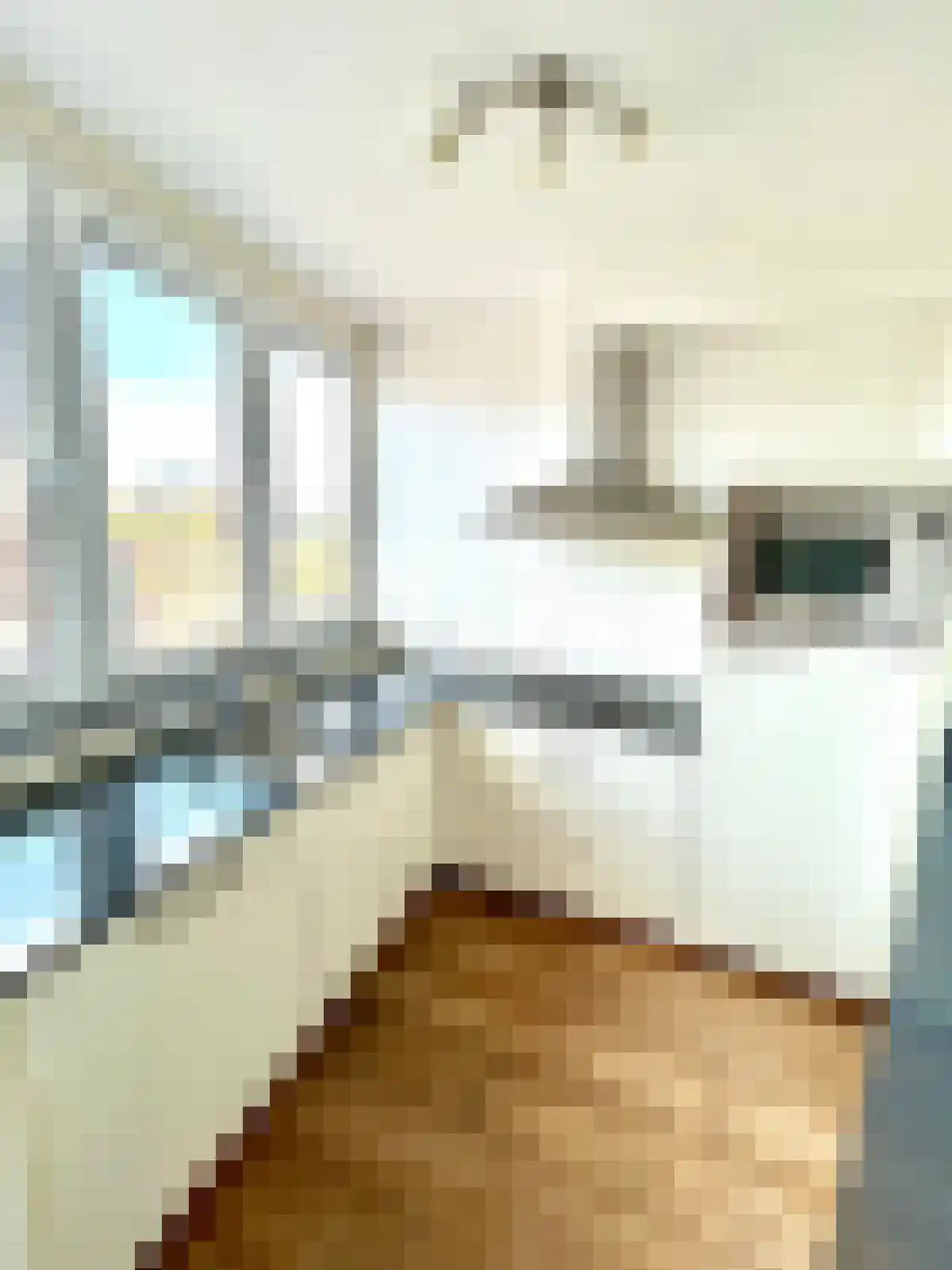 Dokter Gallandatstraat 18 Vlissingen thumbnail 5