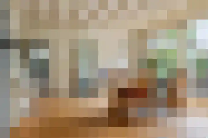 Dokter Guepinlaan 29 Ommeren thumbnail 13