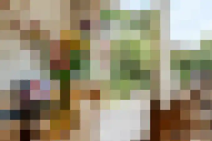 Dokter Guepinlaan 29 Ommeren thumbnail 15