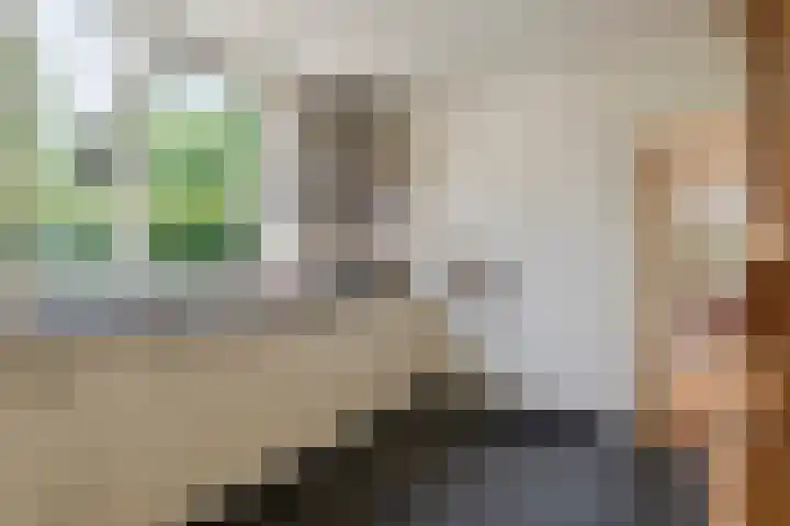 Dokter Guepinlaan 29 Ommeren thumbnail 16