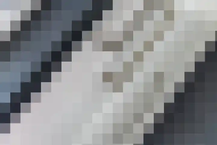 Dokter Guepinlaan 29 Ommeren thumbnail 19