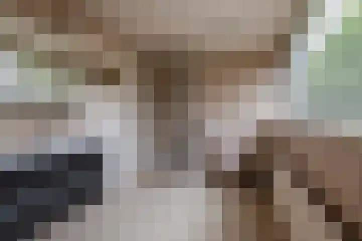 Dokter Guepinlaan 29 Ommeren thumbnail 33