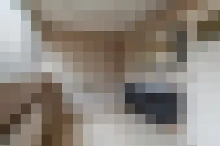 Dokter Guepinlaan 29 Ommeren thumbnail 34