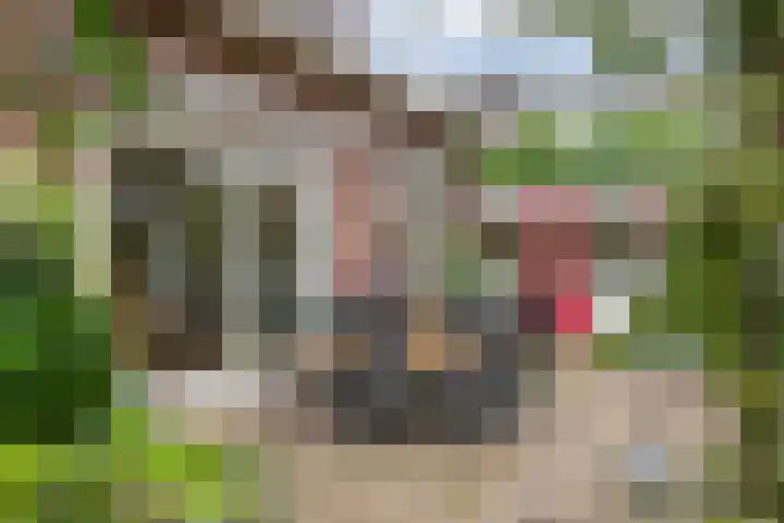 Dokter Guepinlaan 29 Ommeren thumbnail 37