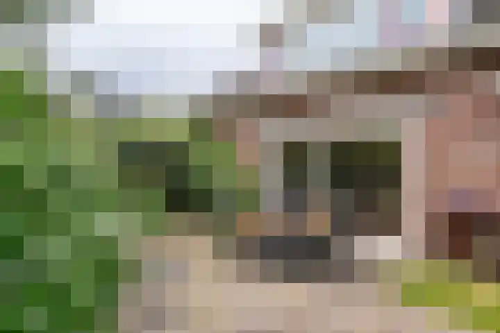 Dokter Guepinlaan 29 Ommeren thumbnail 38