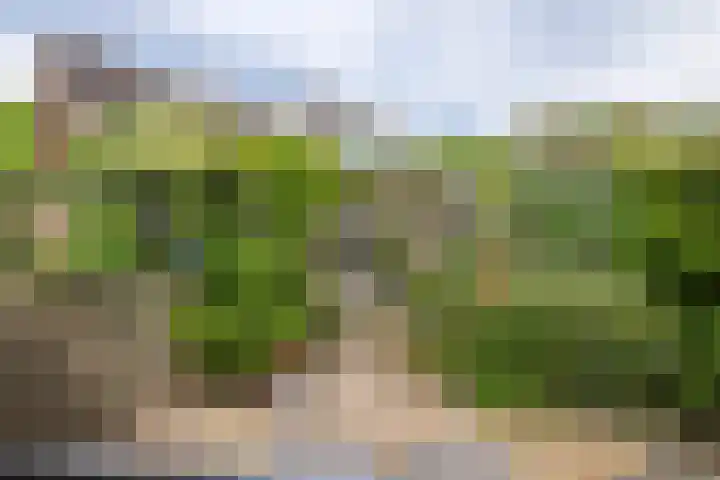 Dokter Guepinlaan 29 Ommeren thumbnail 39