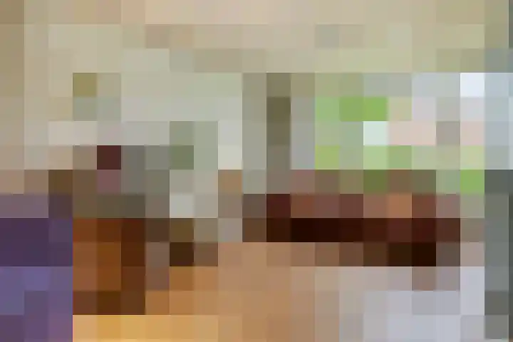 Dokter Guepinlaan 29 Ommeren thumbnail 4