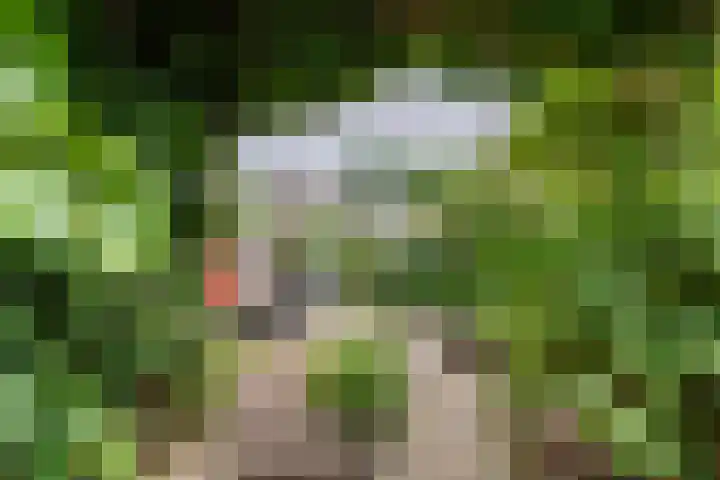 Dokter Guepinlaan 29 Ommeren thumbnail 40