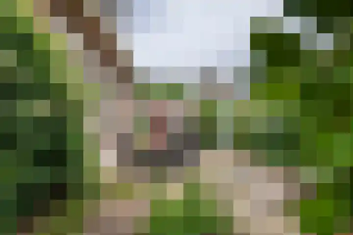 Dokter Guepinlaan 29 Ommeren thumbnail 41