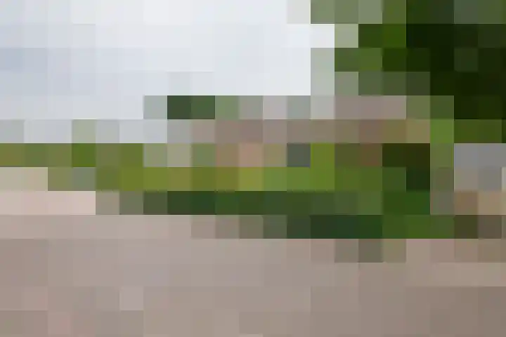 Dokter Guepinlaan 29 Ommeren thumbnail 42