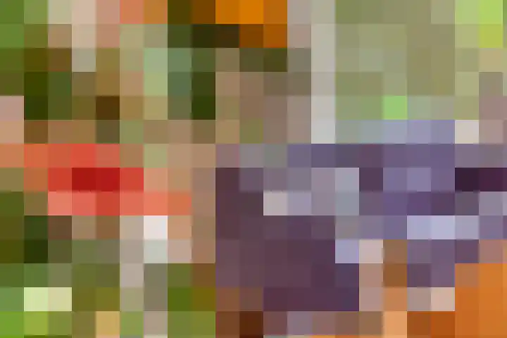 Dokter Guepinlaan 29 Ommeren thumbnail 8