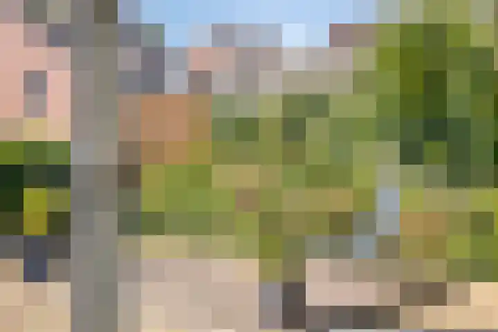 Dokter Haackstraat 2 Gulpen thumbnail 16