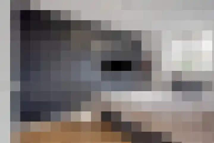 Dokter Haackstraat 2 Gulpen thumbnail 21
