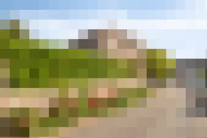 Dokter Haackstraat 2 Gulpen thumbnail 31