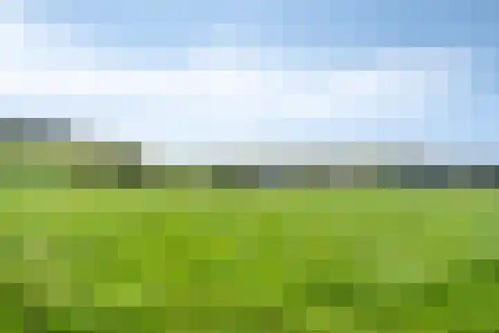 Dokter Haackstraat 2 Gulpen thumbnail 33