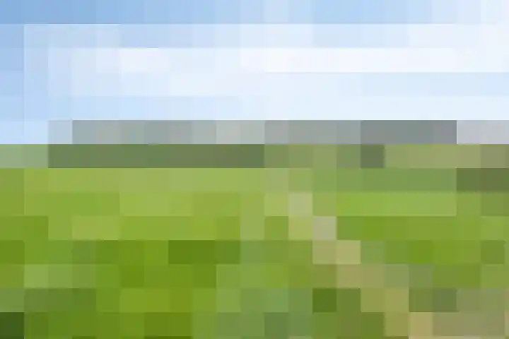 Dokter Haackstraat 2 Gulpen thumbnail 34