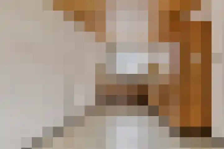 Dokter Hamburgerlaan 10 Boskoop thumbnail 13