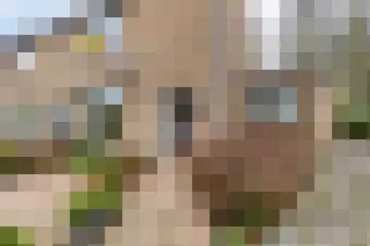 Dokter Hamburgerlaan 10 Boskoop foto 2