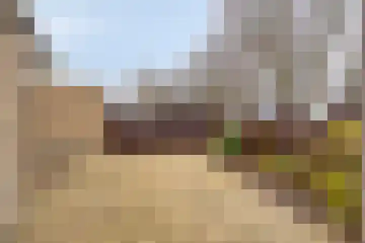 Dokter Hamburgerlaan 10 Boskoop thumbnail 28