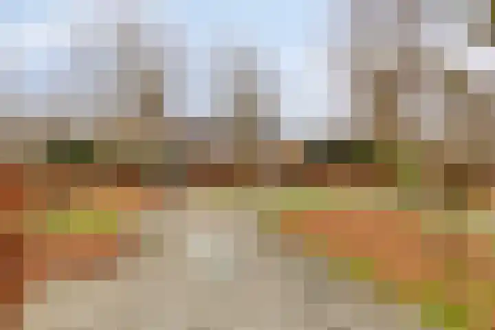 Dokter Hamburgerlaan 10 Boskoop thumbnail 32