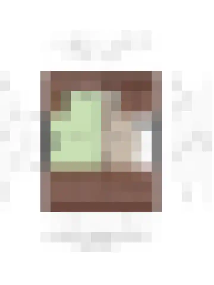 Dokter Hamburgerlaan 10 Boskoop thumbnail 35