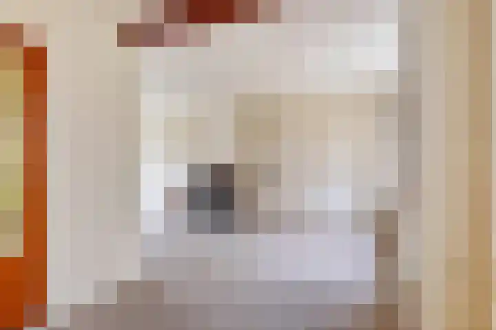 Dokter Hamburgerlaan 10 Boskoop thumbnail 7