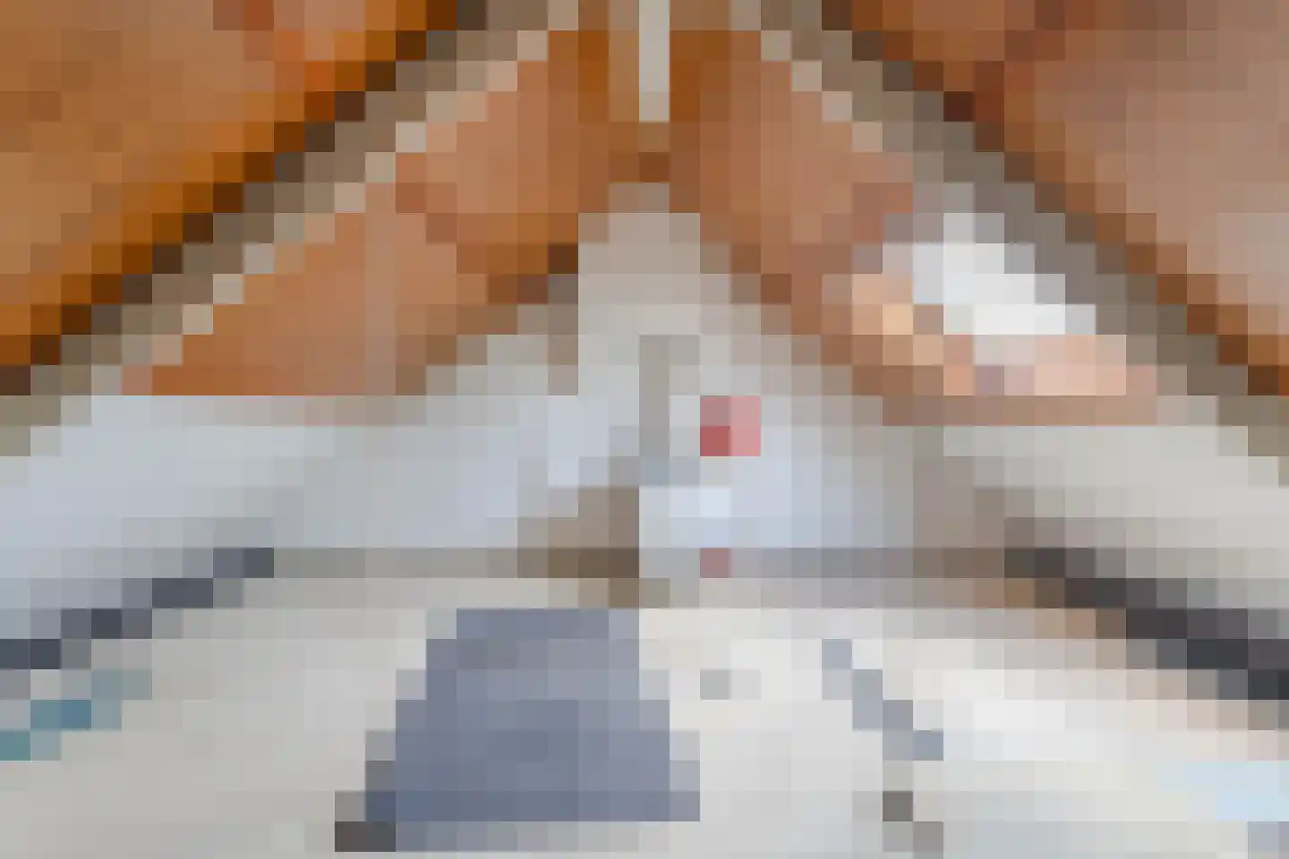 Dokter Hamburgerlaan 29 Boskoop thumbnail 20