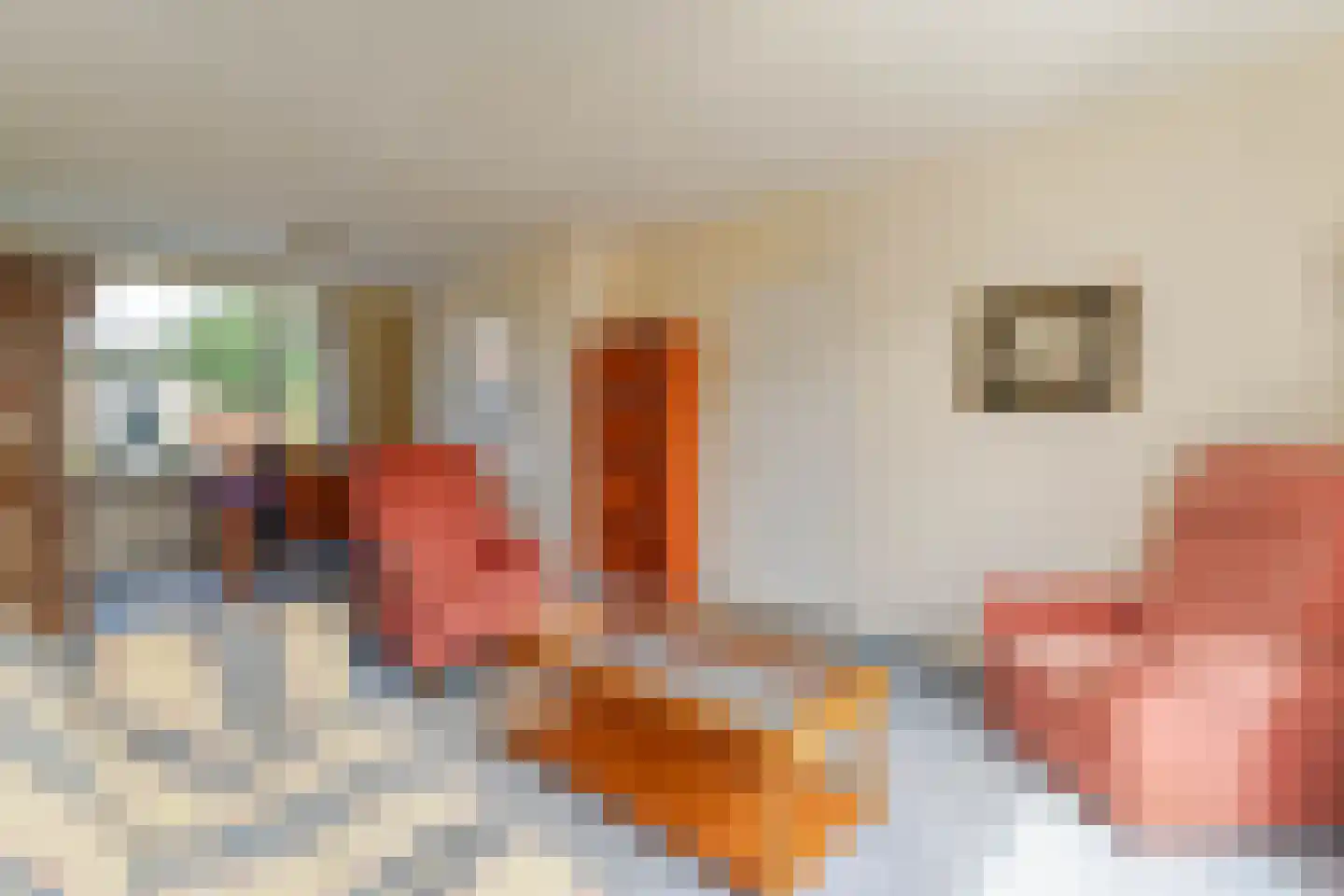 Dokter Hamburgerlaan 29 Boskoop foto 3