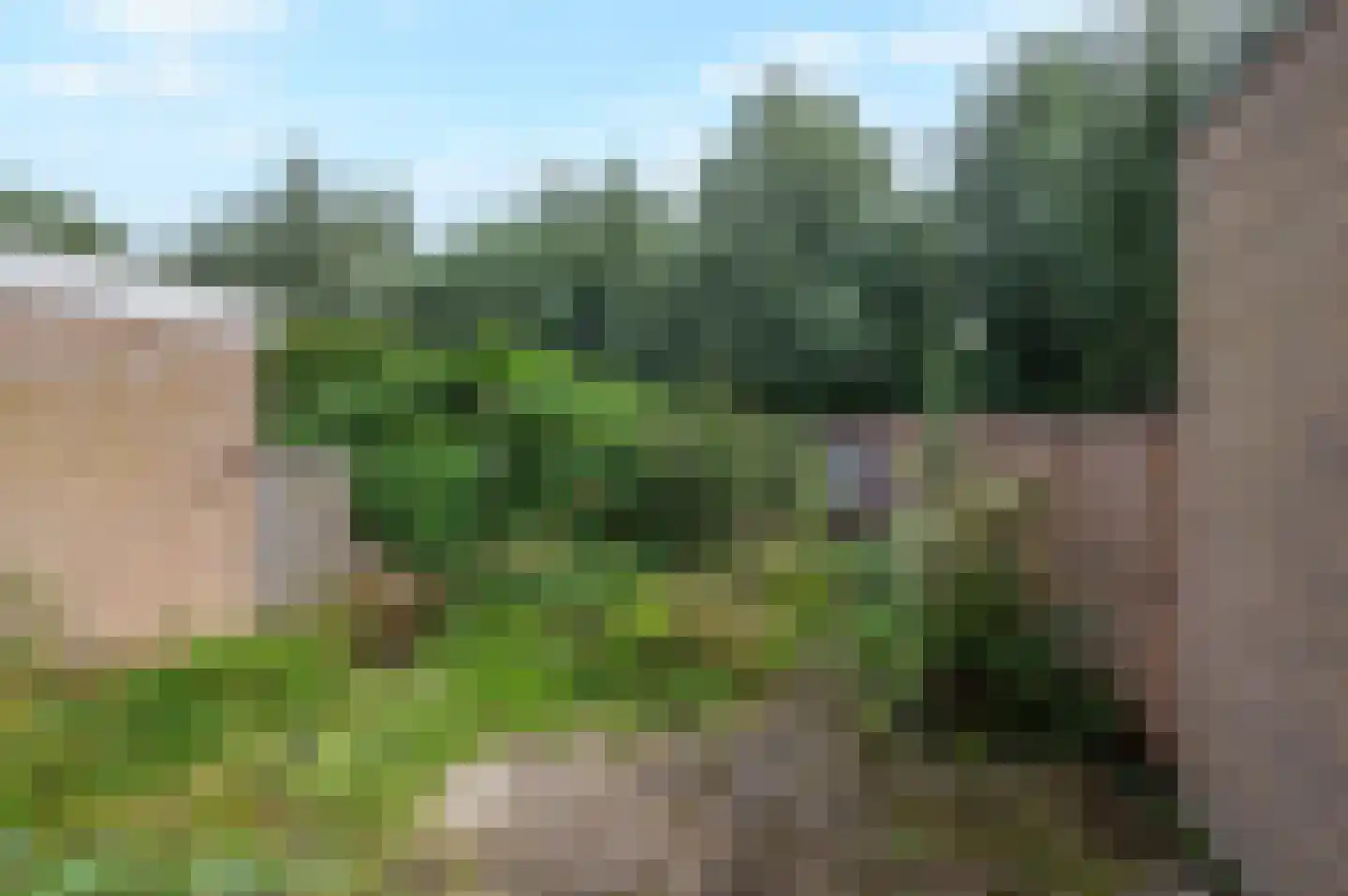 Dokter Hamburgerlaan 32 Boskoop thumbnail 11