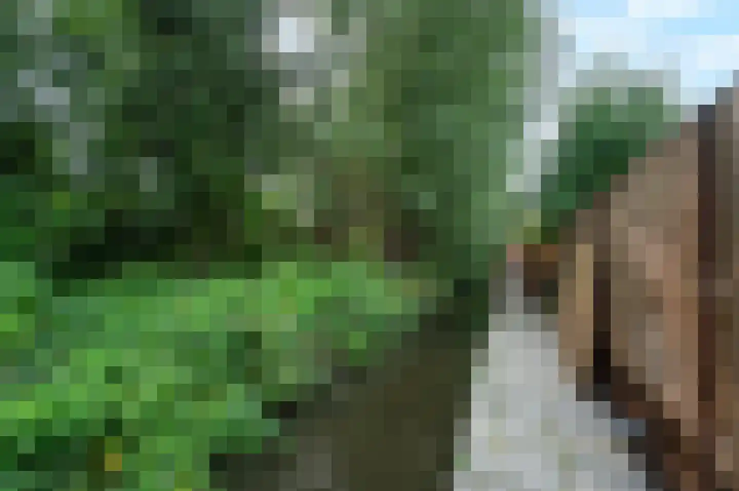 Dokter Hamburgerlaan 32 Boskoop thumbnail 14