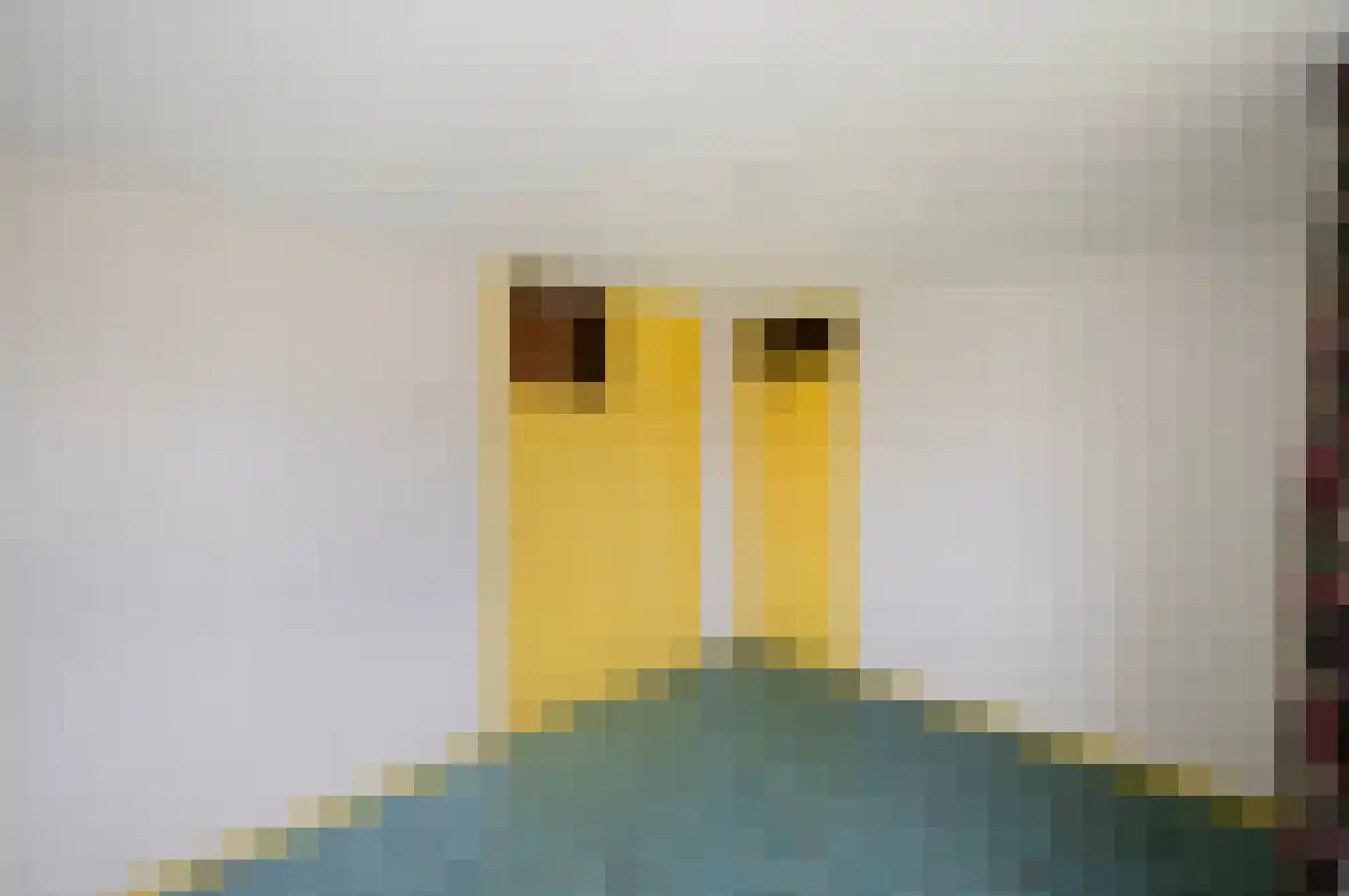 Dokter Hamburgerlaan 32 Boskoop thumbnail 24