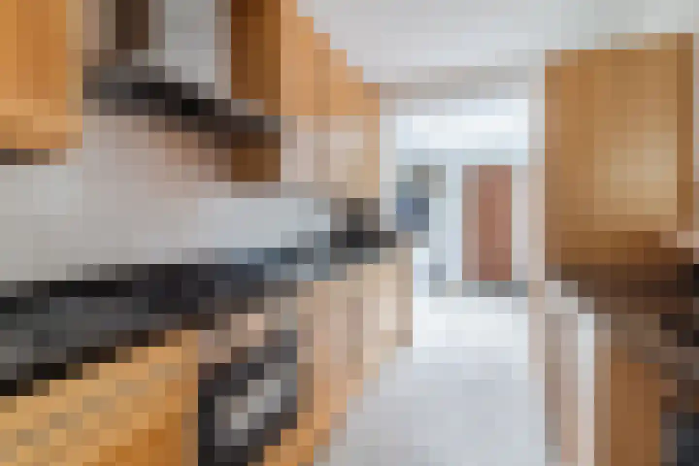 Dokter Hamburgerlaan 41 Boskoop thumbnail 18
