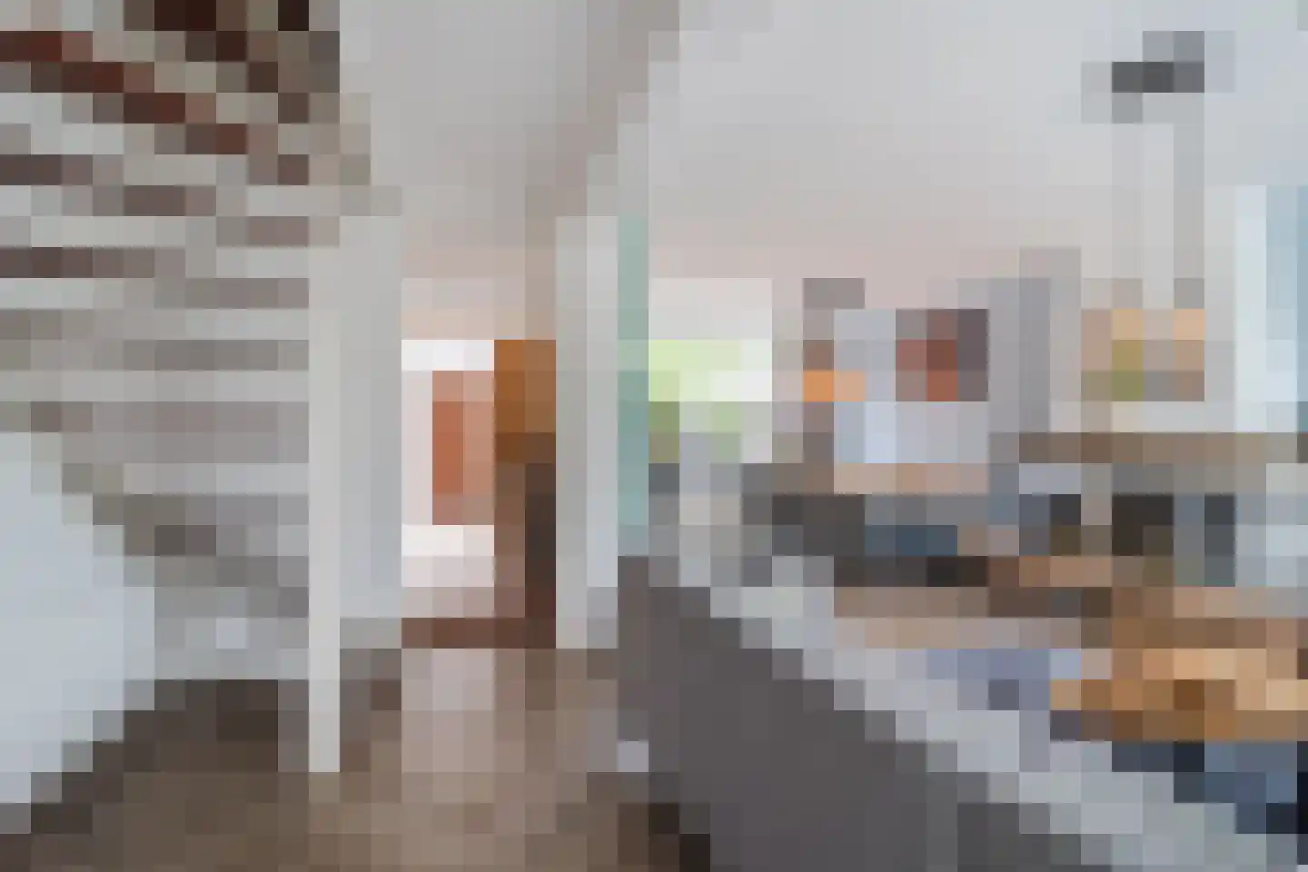 Dokter Hamburgerlaan 41 Boskoop foto 2