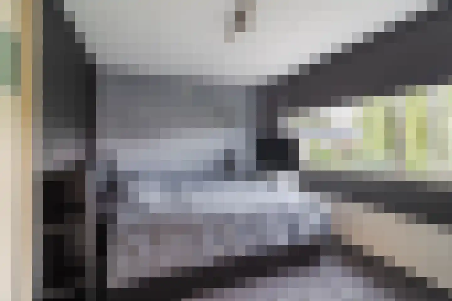 Dokter Hamburgerlaan 41 Boskoop thumbnail 26