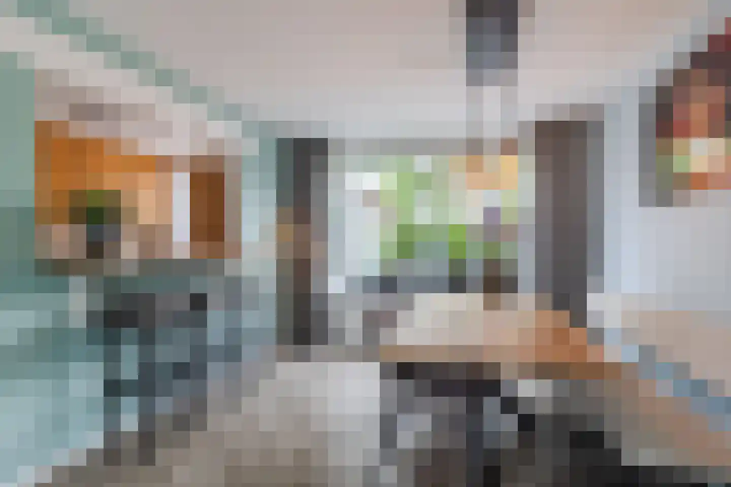 Dokter Hamburgerlaan 41 Boskoop foto 3