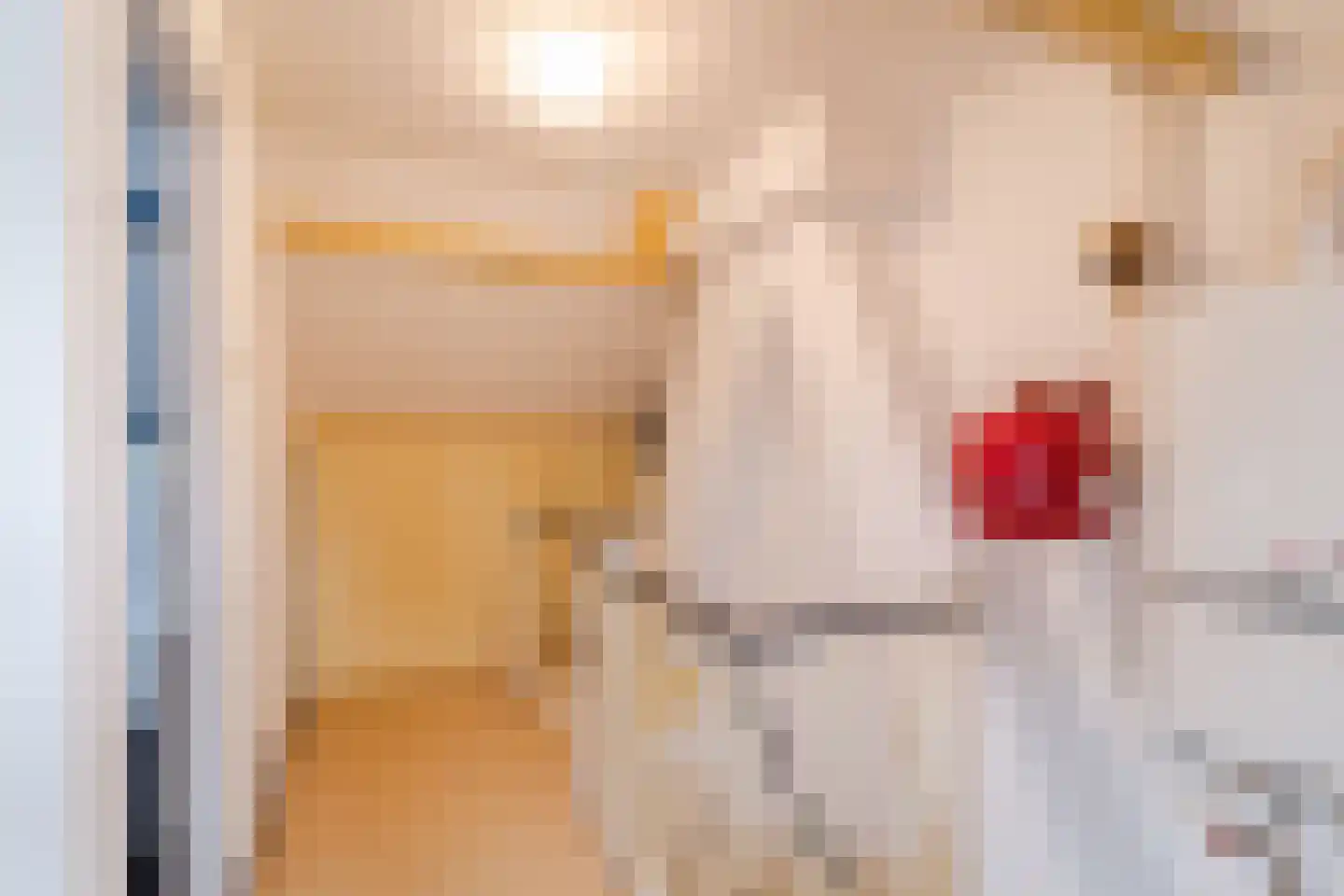 Dokter Hamburgerlaan 41 Boskoop thumbnail 37