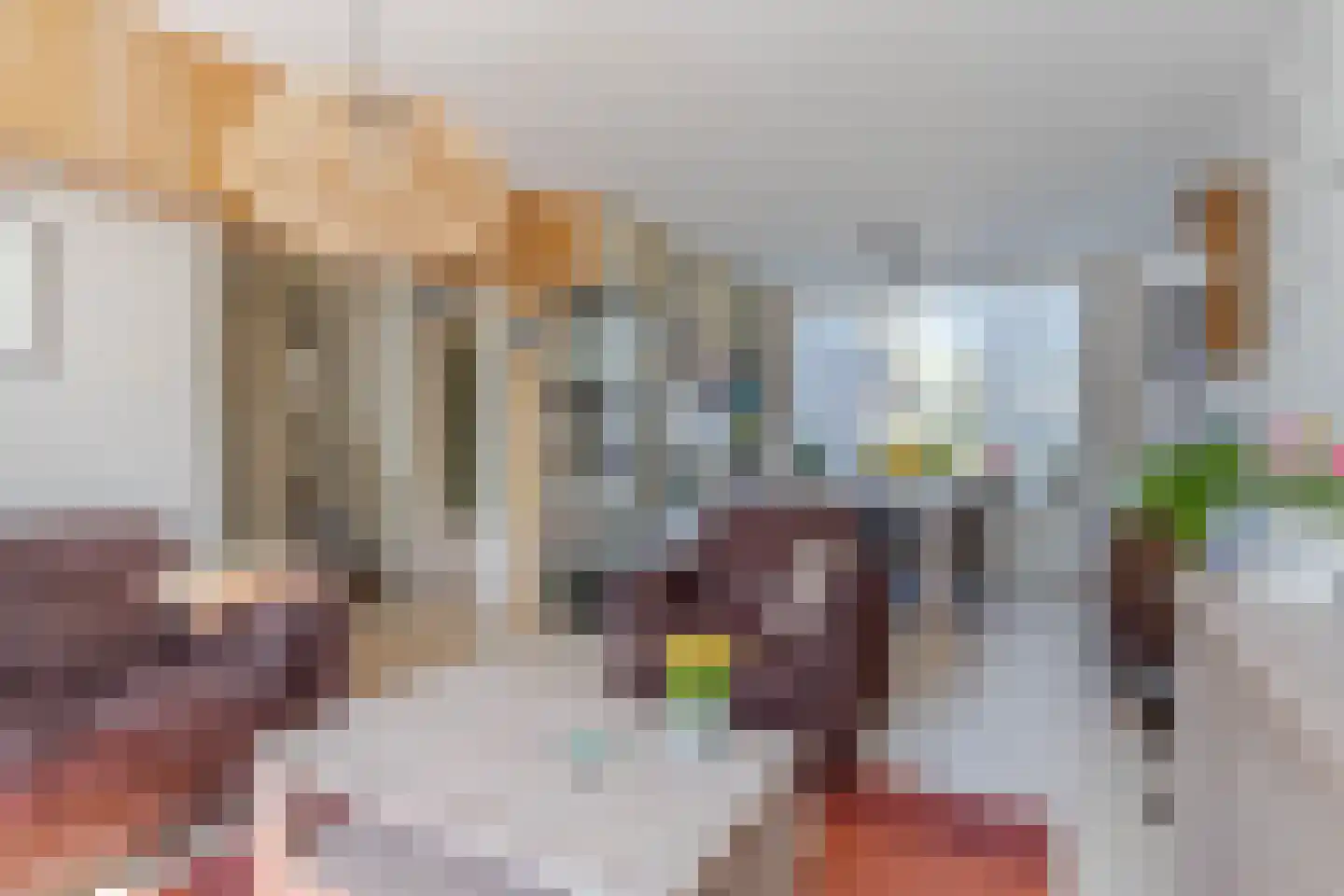 Dokter Hamburgerlaan 45 Boskoop foto 3