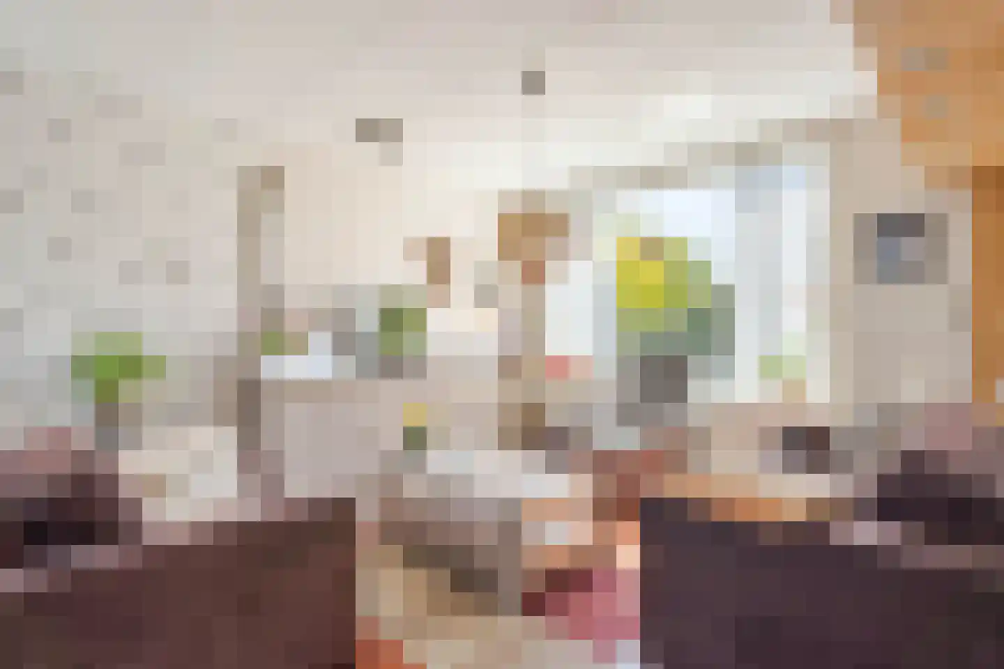 Dokter Hamburgerlaan 45 Boskoop thumbnail 5