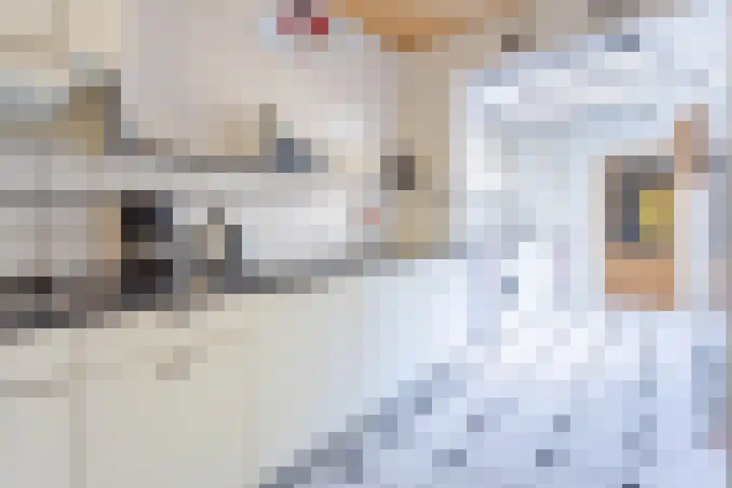 Dokter Hamburgerlaan 45 Boskoop thumbnail 6