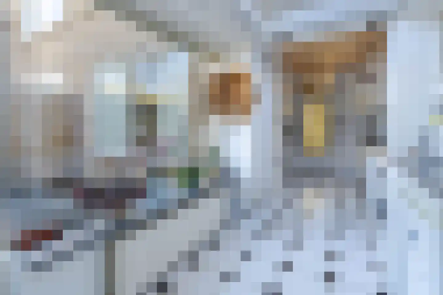 Dokter Hamburgerlaan 45 Boskoop thumbnail 7