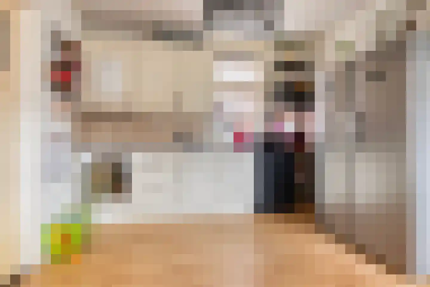 Dokter Harm Brouwerstraat D 12 Nieuwe Pekela thumbnail 15