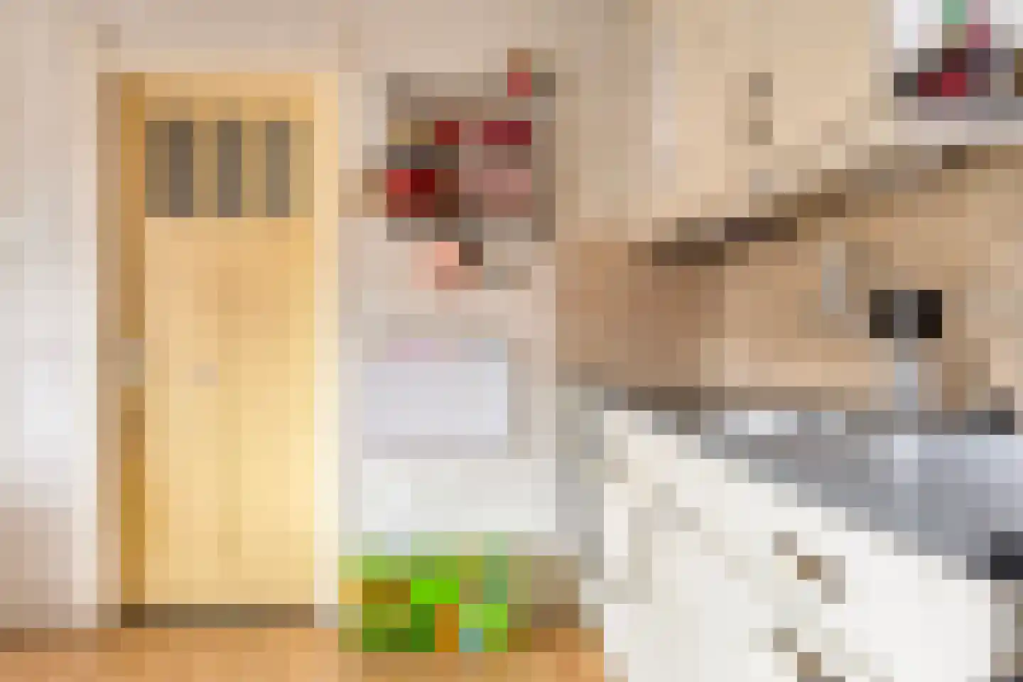 Dokter Harm Brouwerstraat D 12 Nieuwe Pekela thumbnail 17